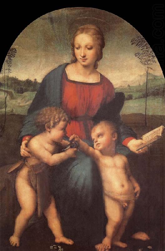 The Madonna of the goldfinch, Aragon jose Rafael